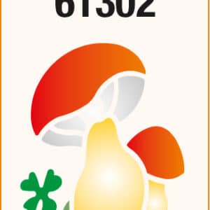 Stencil chico 80x147mm