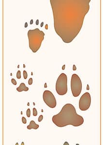 Stencil mediano 80x300mm