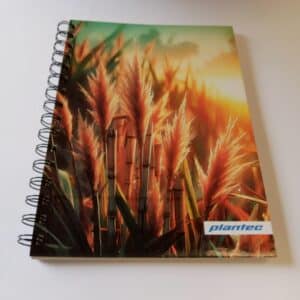 Cuaderno anillado doble A5 X 60 hojas