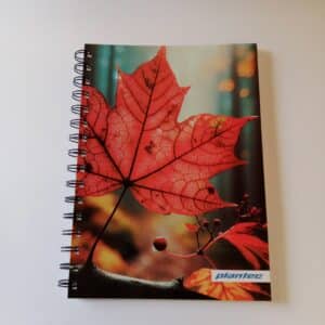 Cuaderno anillado doble A5 X 60 hojas