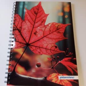 Cuaderno anillado doble A4 X 60 hojas