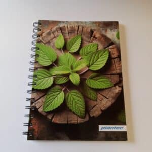 Cuaderno anillado doble A5 X 60 hojas